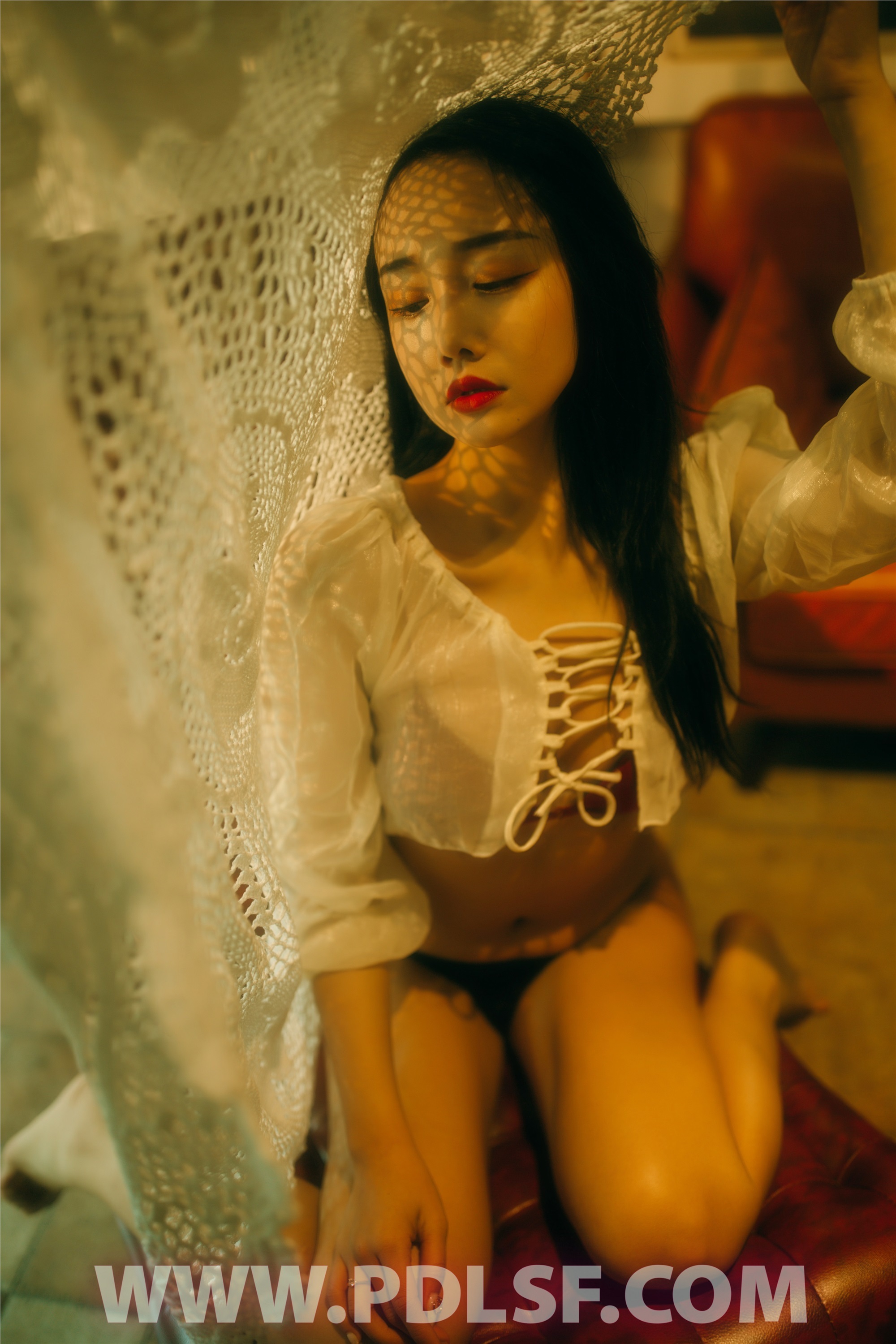 PDL潘多拉 2020.05.02 专辑No.289